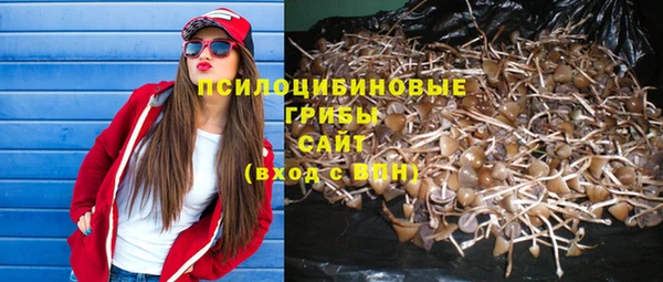 синтетический гашиш Ладушкин