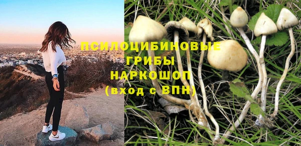 дурь Куйбышев