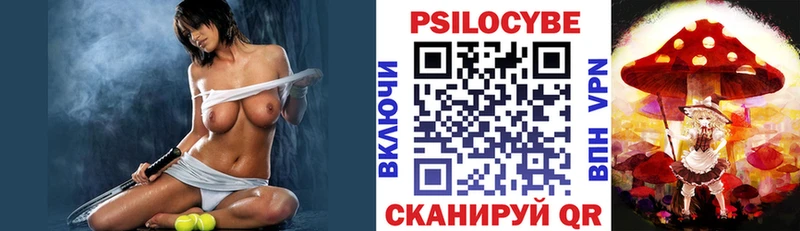 наркота  Болотное  Псилоцибиновые грибы Psilocybe 